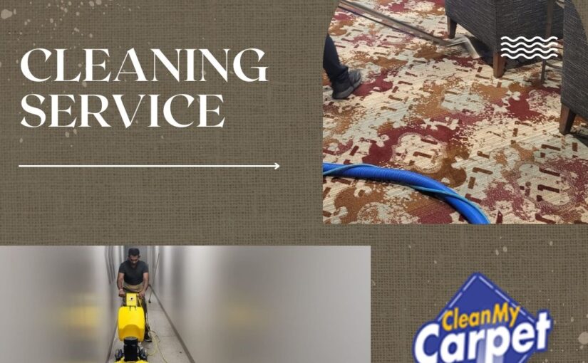 The Environmental Benefits of Professional Carpet Cleaning
