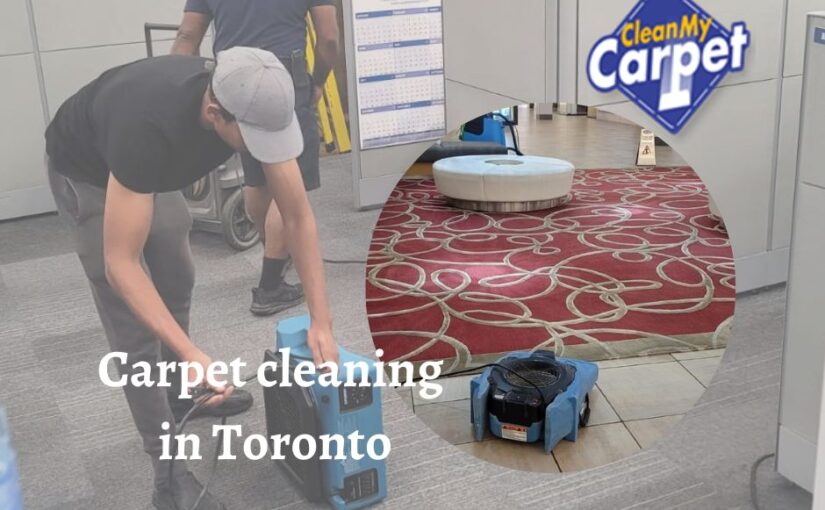 Choosing A Carpet Cleaning Company: What To Look For & What To Avoid!